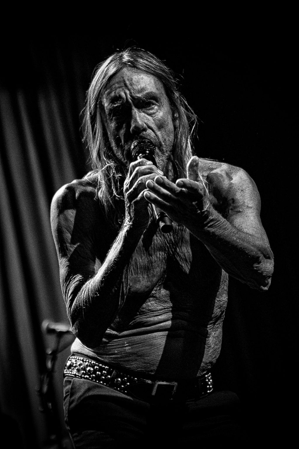 Godfather Of Punk Iggy Pop Live And Shirtless In Melbourne Forte Magazine