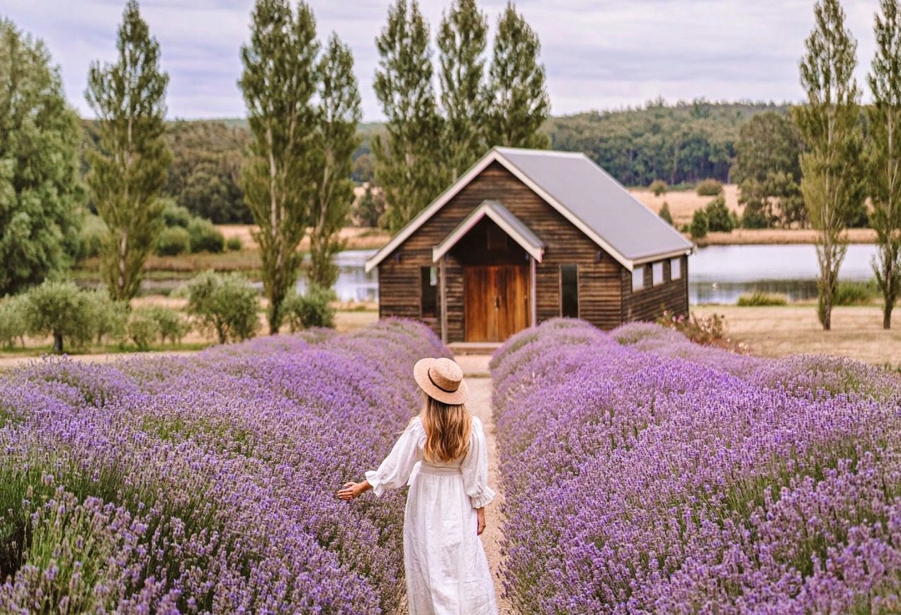 Everything to see and do in Daylesford for the weekend Forte Magazine
