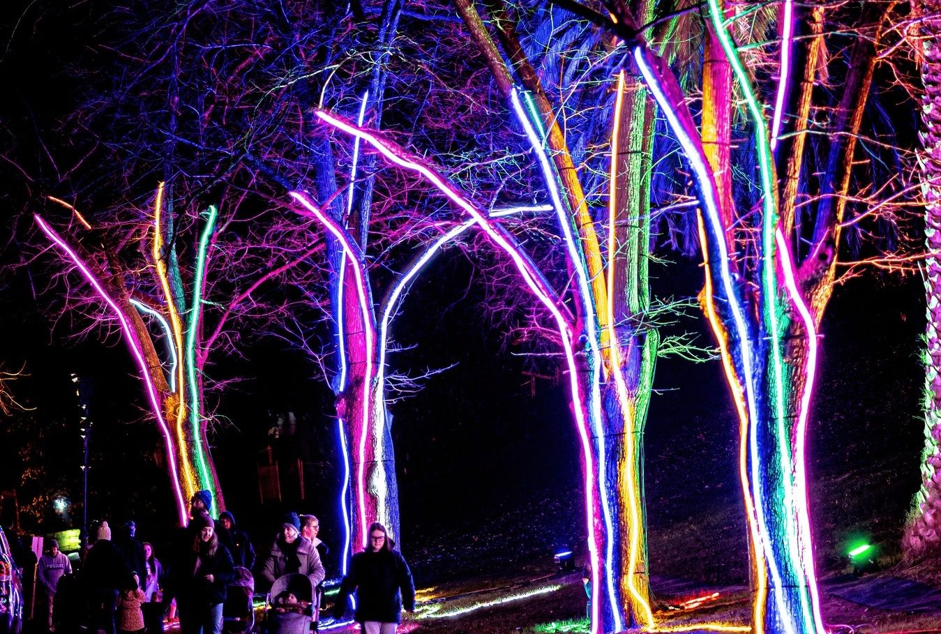 Regional Victoria just scored another magical winter lights festival
