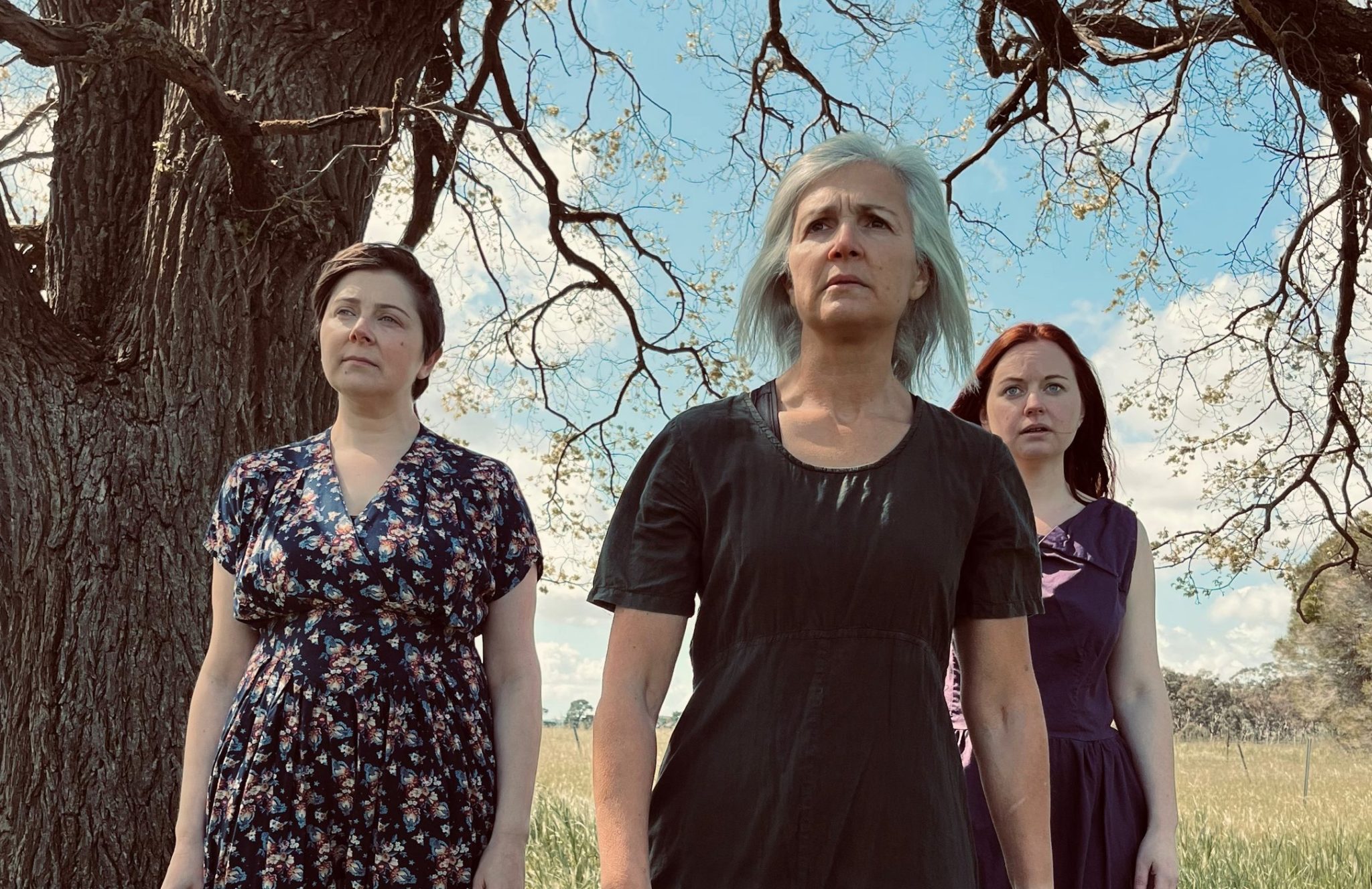 Awardwinning gothic thriller The Bleeding Tree is coming to Geelong