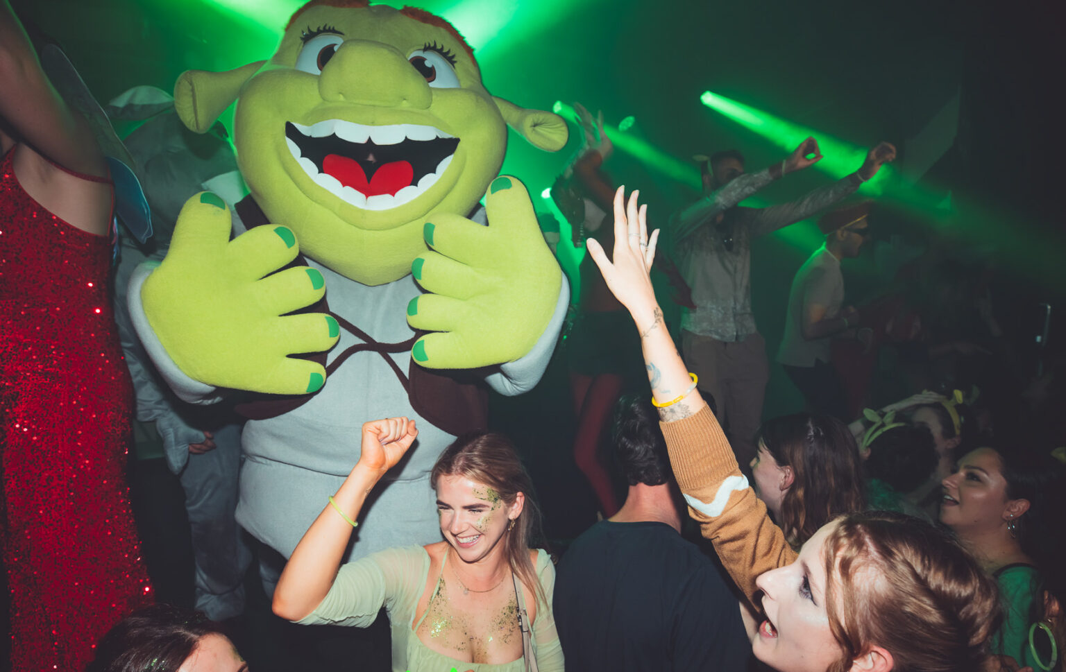 There's a Shrekthemed rave coming to Geelong and that'll do, Donkey